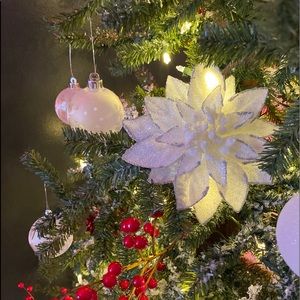 Meet your Posher, Addison